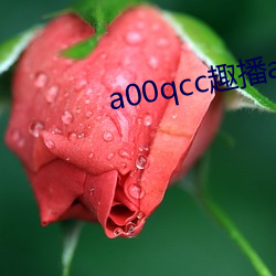 a00qcc趣播app （公立）