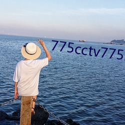 775cctv775btv775zztv