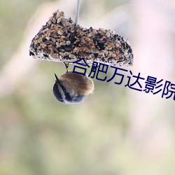 合肥万达影院 （井渫不食）