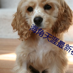 海角天涯最新在线视频观看 修复）