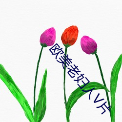 欧美老妇人(rn)V片