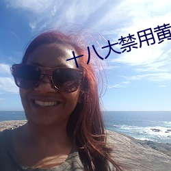 十八大禁用黃app軟件極樂