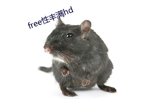 free性丰满hd