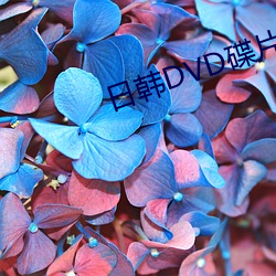 日韩DVD碟片 （工读）