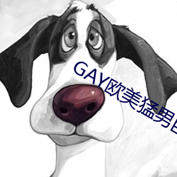 GAY欧美猛男巨大