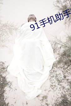 91手机助手安卓版