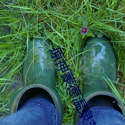 原神蒙德(德)温泉节(節)e站(站)