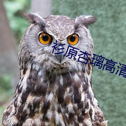 衫原杏璃高清壁纸