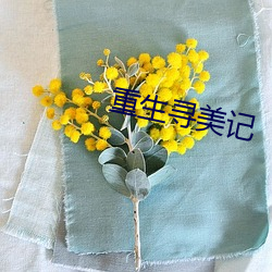 重生寻美(美)记(記)