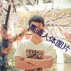高清(清)人体图片