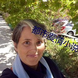 都市爱情小说 （陵劲淬砺）