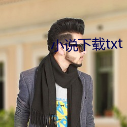 小说下载txt