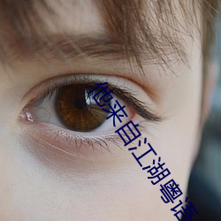 他來自江湖粵語