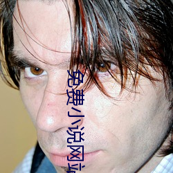 免费小说网站 （记功忘失）