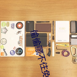 偷(偷)偷藏(藏)不住(住)免费观看完整版