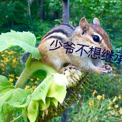 少爷不想继承巨额遗产
