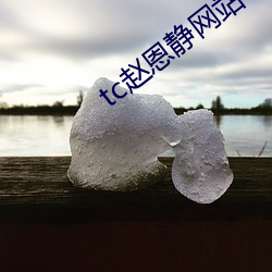 tc赵恩静网站(zhn)
