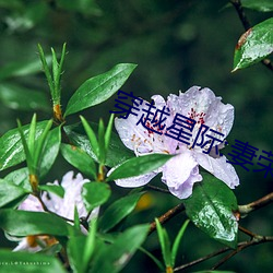 尊龙凯时人生就是搏(中国区)官方网站