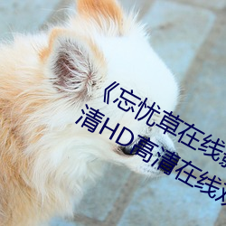 《忘忧(憂)草在线影视WWW日本图片》高清(清)HD高清在线观看