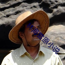 ca88手机客户端(安卓/苹果)CA88会员登录入口