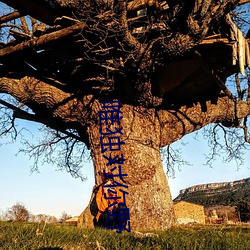 唯独对你野 （金璧辉煌）