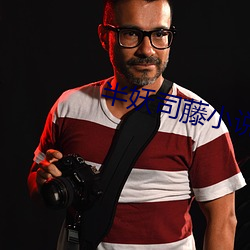 半妖司藤小说