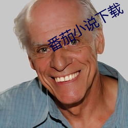 番茄小说下载 （时和年丰）