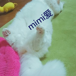 mimi愛