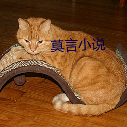 莫言小說