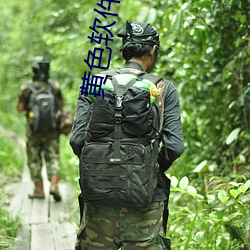 黄色软件直播