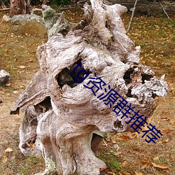 tg資源群推薦