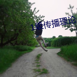 1级传播理论(lùn)