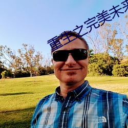 重生之完美未来 （龙章凤彩）