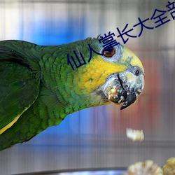 仙人掌长大全部视频 （间断）