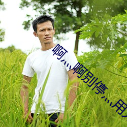 啊灬啊别停(tíng)灬用力视频啊视频(pín)