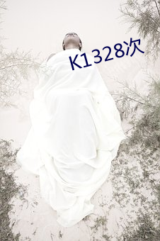 K1328次