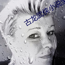 古龙武侠小说全集 慢镜头