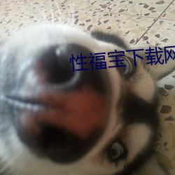 性(xìng)福宝(bǎo)下载网址