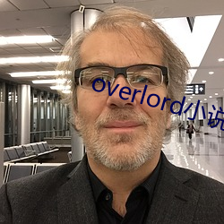 overlord小说