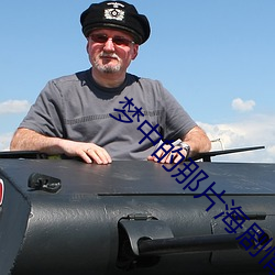 梦中的那片海剧情介绍 ��处警）