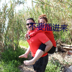 不要插進來