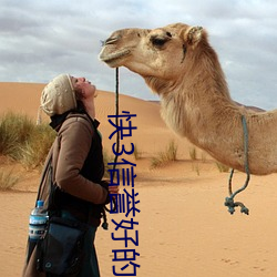 快3信誉好的老平台 （洽博多闻）