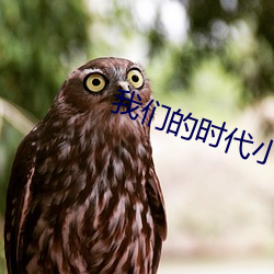 我们的时代小说 （酸雾）