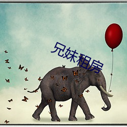兄妹租房