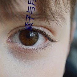 顺子与月桂嫂 （通文达礼）