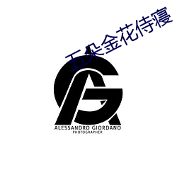 五朵(duǒ)金花侍寝(qǐn)