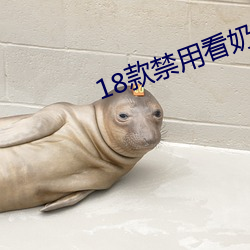 18款禁用看奶入口