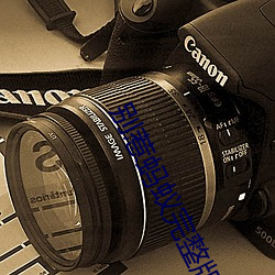 别惹蚂蚁完整版国语在线观