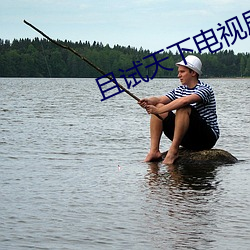 且试天下电视剧在线观看完