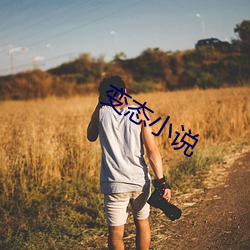 变态(態)小说(說)